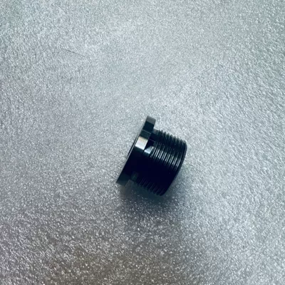Engine assembly parts: plug