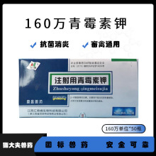 兽用青霉素钾氨苄西林钠阿莫西林钠头孢类国标正品犬猫猪牛羊