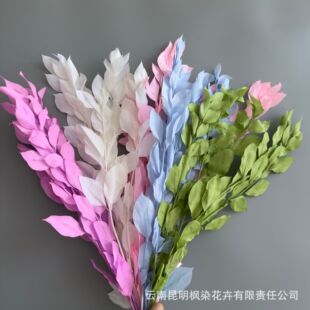 ����朽ӿ羳���~��������ˇDIYС������ˇ�L�Ҿ�ܛ�b��c����