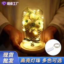 С�������l�b��~���􎧔[���~�۟� ���l�������������led���