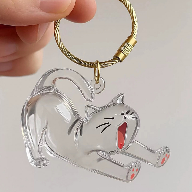 新品透明猫毛钥匙扣挂件纪念收纳盒饰扭蛋猫咪跨境毛发存放胶囊包|undefined