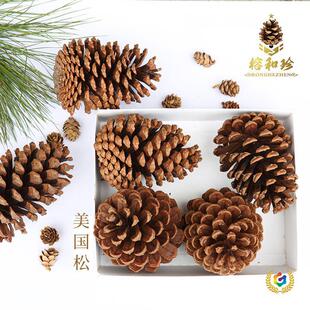 ?�ɹ� ��Ȼ�ɹ� ������ ������ ���ɹ� �����^ �ɻ� �ɹ���ˇƷ