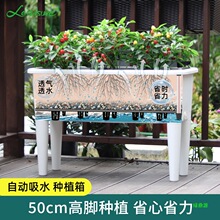 ������_��ͥ���⻨���L�����̨�N�˷Nֲ���̖픘��߲�