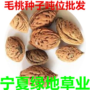 ���l�²�ë�ҷN�� ë�Һ� �����Һ� �Ҙ���Ҙ�Në�Ҙ�N��