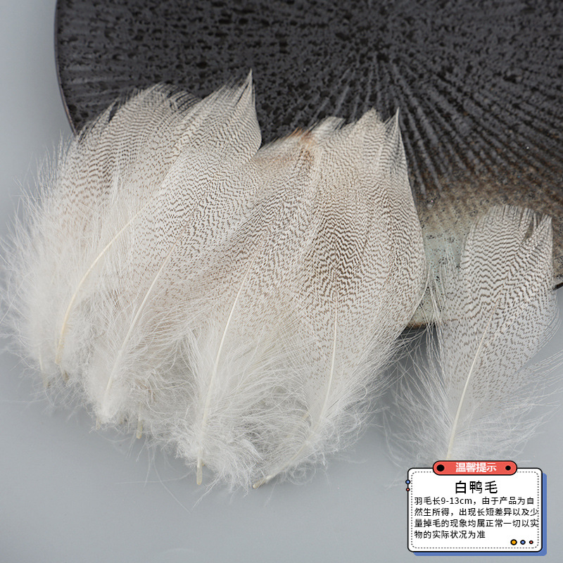 Fábrica directa DIY plumas materiales hechos a mano de color natural piel de pollo tienda sueños artesanía joyas accesorios de decoración