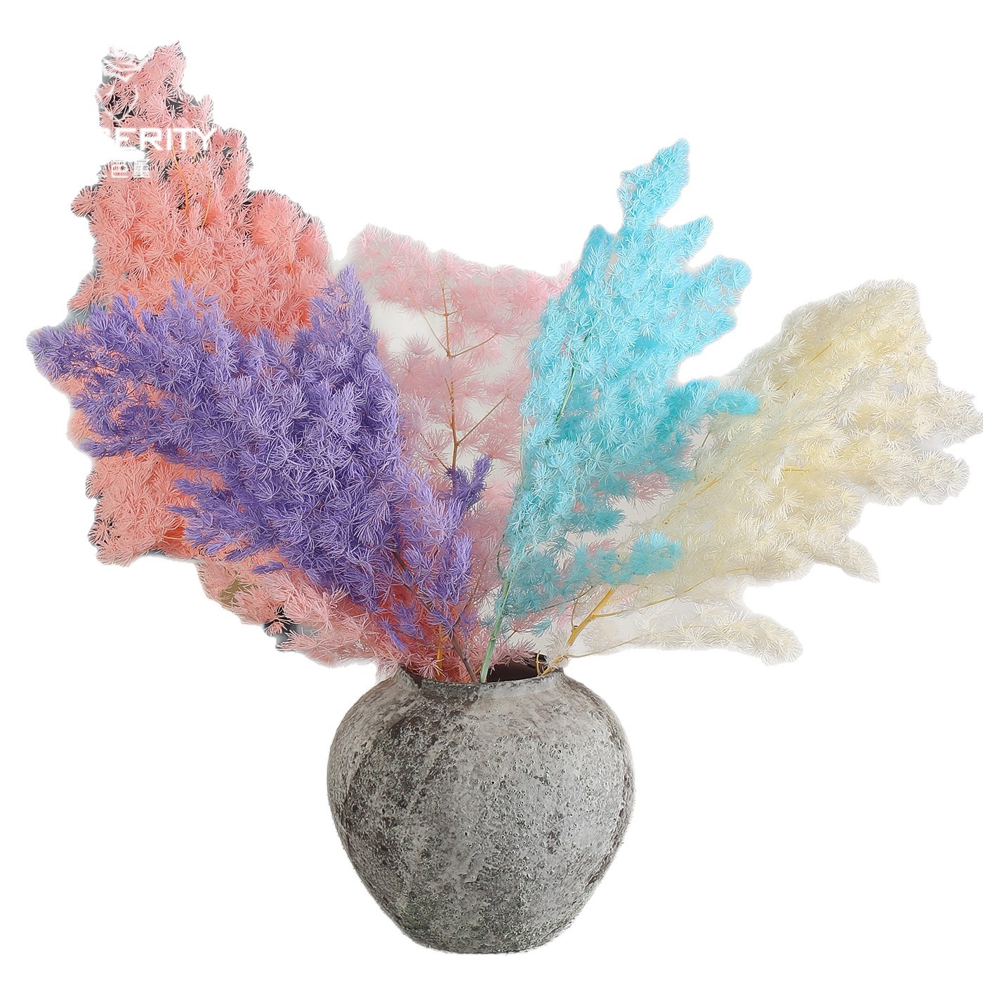 Flores secas de siete colores cordier flor flor flor flor de embalaje flor decoración flordiy florista florística material de ramo de embalaje floral