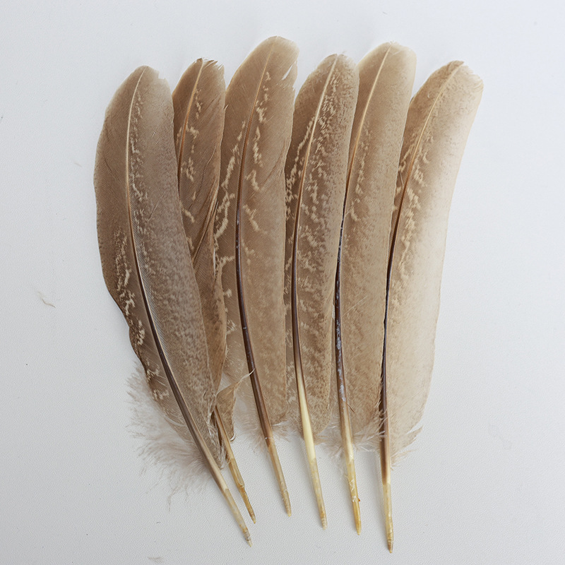 Fábrica al por mayor de bricolaje plumas pequeñas plumas naturales plumas de pollo salvaje plumas de pato jardín de infantes joyas hechas a mano gato divertido material de captura de sueños
