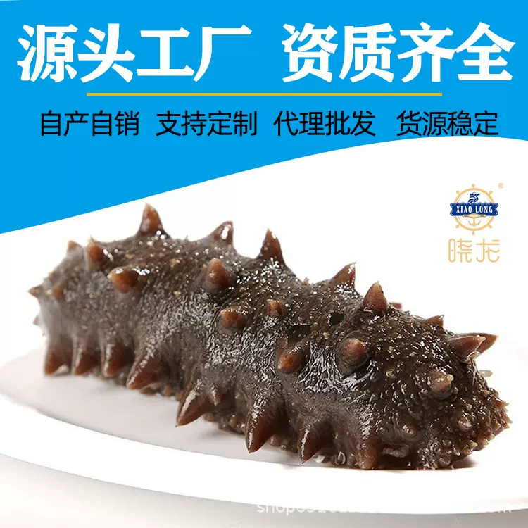 即食海参源头工厂鲜食海参辽刺参鲜活批发大连野生即食海参辽参