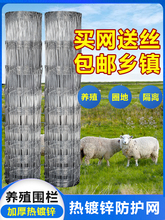 ��\���P�F�z�W�Bֳ�W�o�ھW���o�Wţ�ھW���@�����Bţ�B����ھW