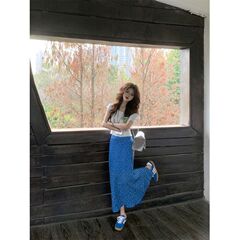 リゾート風の青い花の半身のスカートの女性の夏の韓系の気質の高い腰はやせている包みのヒップのスカートのフォークの長いスカートを現します。