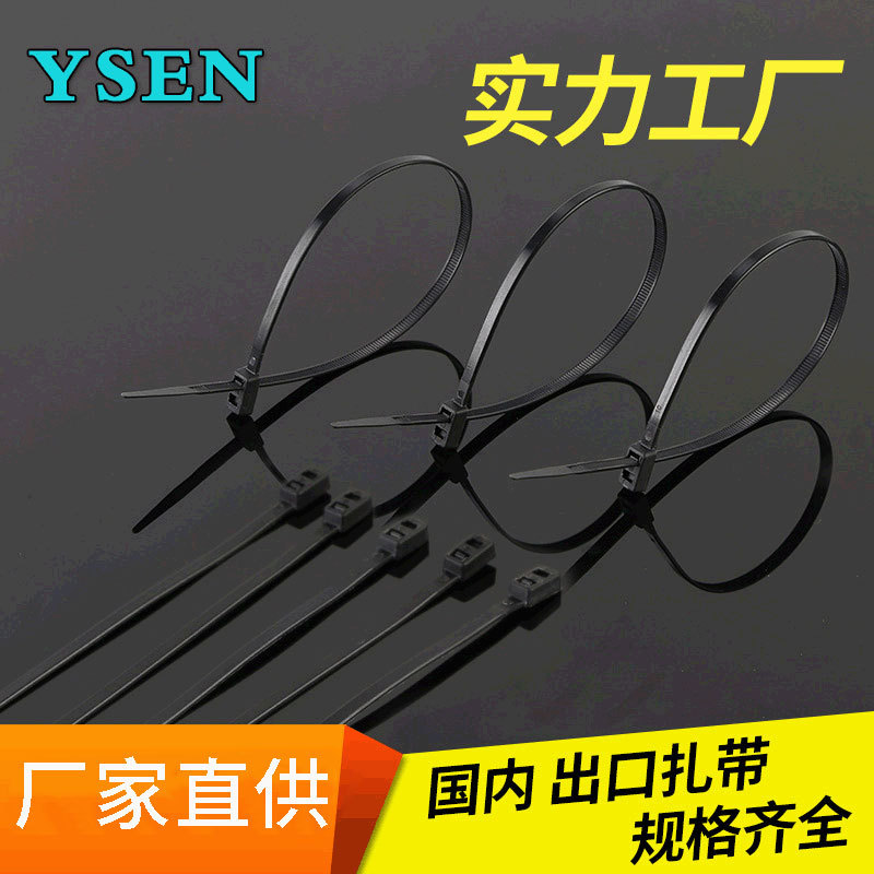 厂家供应自锁双扣 双孔 双头尼龙扎带5*200mm100条一包黑白颜色
