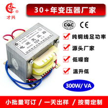 定制低频电源变压器220V转12V/24V/36V小型隔离变压器全铜足功率