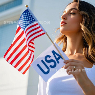 �֓u�춨��Hand Flag��]��ӡ���������UС�������Q���OEM���S