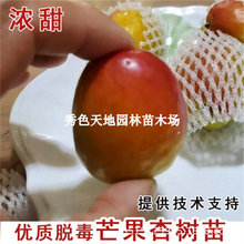 �������Ә����޽�â�����Ә����ش����������������Ϸ������Nֲ