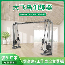 多方位训练豪华型大飞鸟训练机健身器材 商用健身房训练器可批发