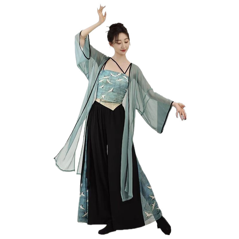 新しいスタイルの古典的なダンスの青蛇中国式のふわふわしたガーゼの服のプリントのズボンのスカートの中国風の現代的なダンスの演出の練習服|undefined
