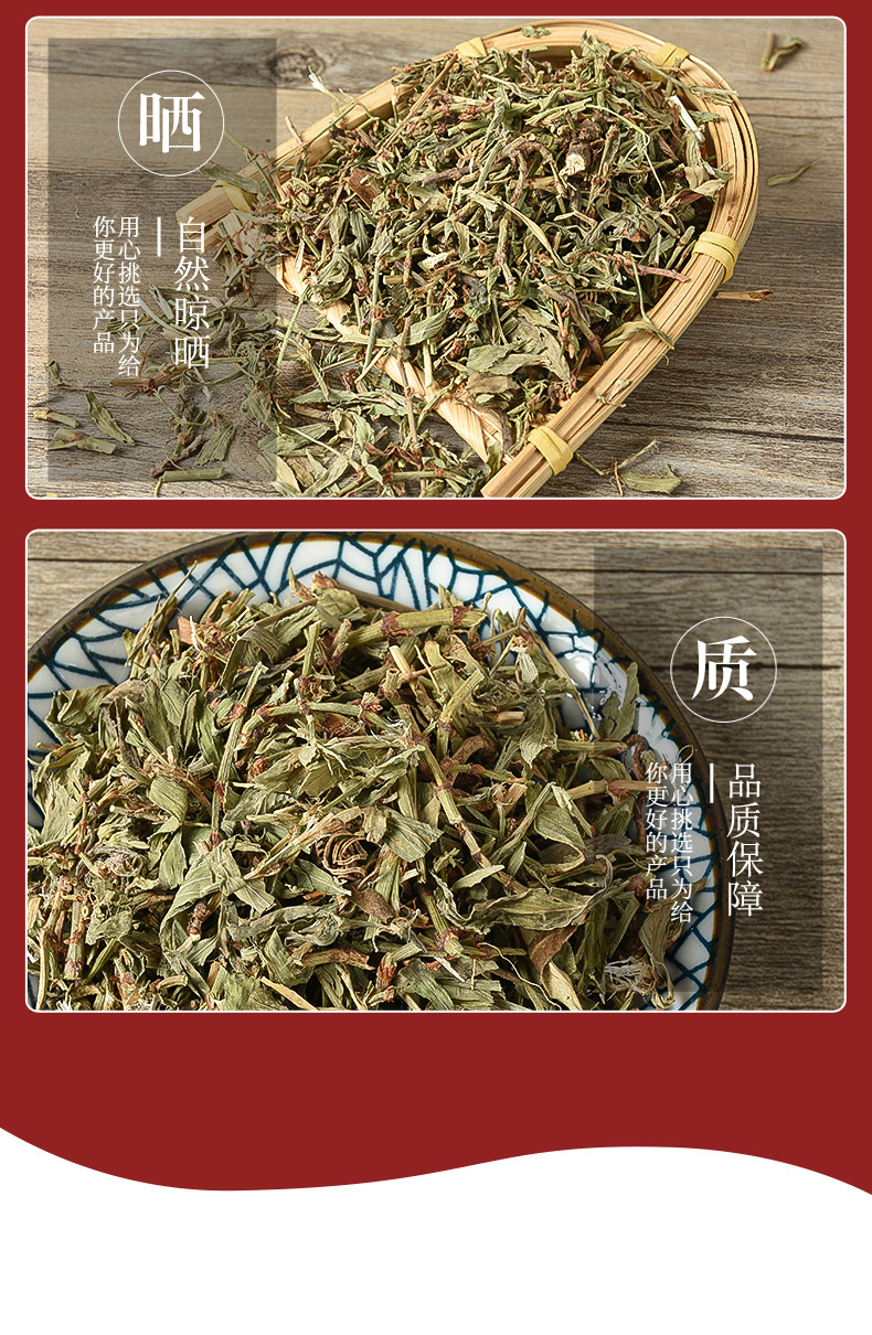 Bian Xu (Polygonum aviculare) — Dried Food Herb, Traditional Chinese Herbal Tea Ingredient specifications