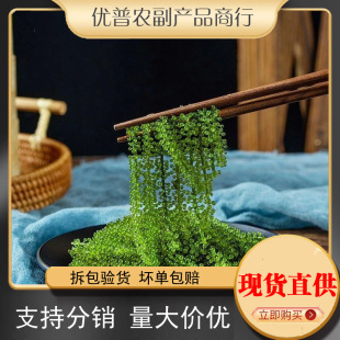 �����Ѽ�ʳ��ͯ�}�n�������r�����ˮ���Ѻ����߲˾Gɫ�~���u����