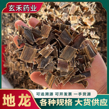 中药材地龙批发零售广西地龙片饮片级无硫新货量大从优可打粉代发