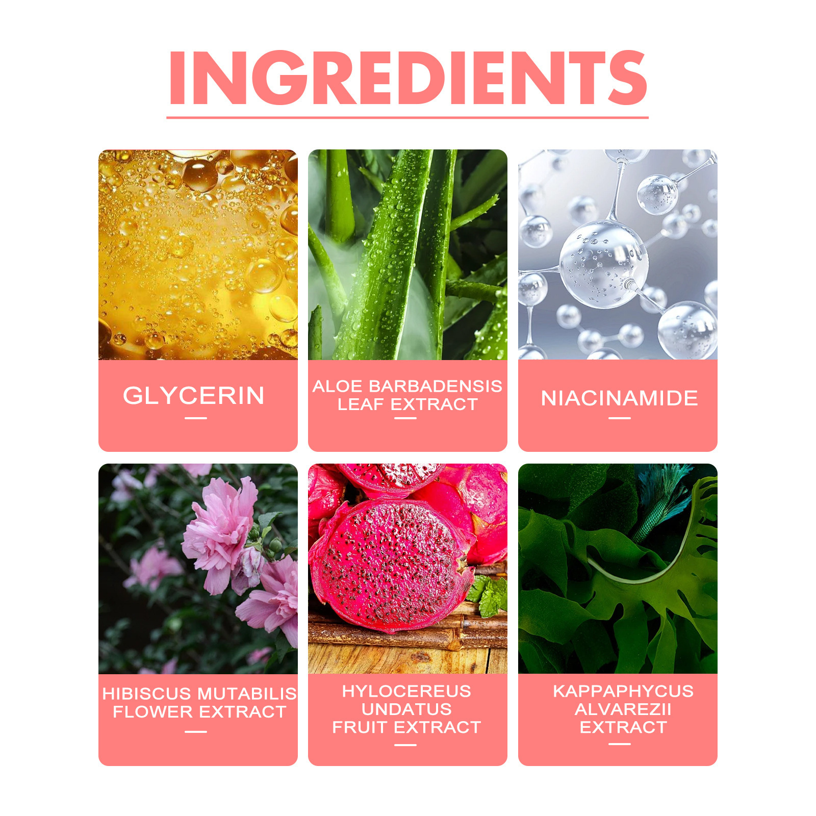 Gelée de fruits de corail, bâton de brillant à lèvres en poudre de couleur légère, fine, naturelle et durable_voghion.com