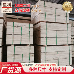 包装箱用木条楊木順方向多層板LVL単板積層材パレットくん蒸木角異形板