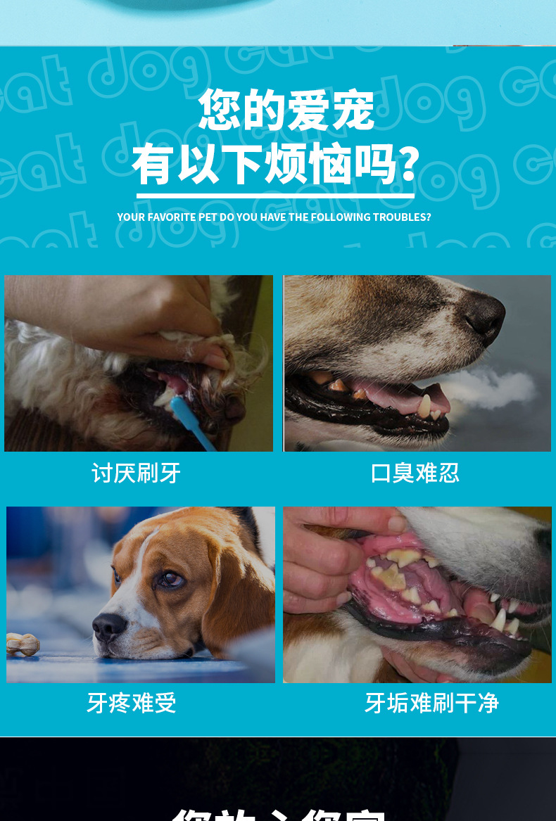 宠物漱口水_01.jpg