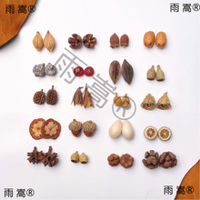 ��Ȼֲ����h�������diy���ӄ��₀�Զ��h���Ͽɐ���Ů���F���h