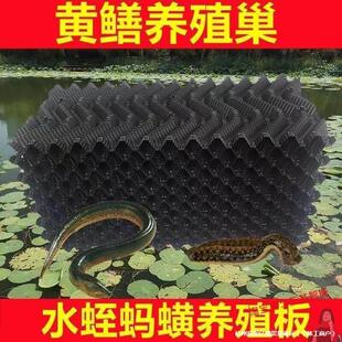 �S�XС���r�����糲Ѩ�߰��C�з���qˮ�������Bֳˮ��ȫ��