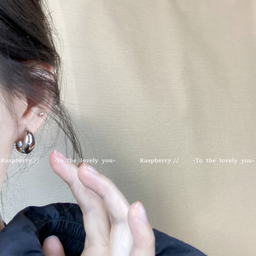 High-end and everyday Evergreen Super Smooth Earrings 2·0 Versatile Minimalist Cold Style Earrings New Earrings