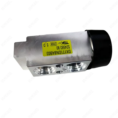 Avtomobil və motosiklet məhsulları istehsal avadan Conditioning Expansion Valve
