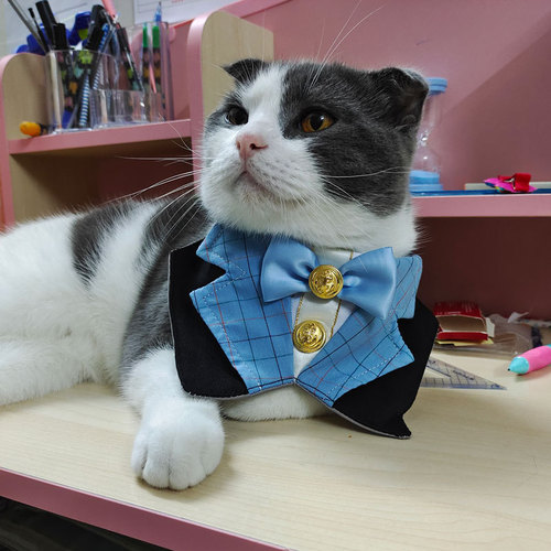 Cross-border new pet cat and dog suit, gentleman wedding, spit cloth, bow tie, triangle scarf, Korean Japanese style, Instagram