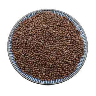 �S�G�Ѳ��@���S�G�Ӳ��@���S����ɳ��ș�����l���^�����ȥƤ����