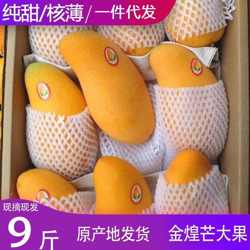 Extra-Large Golden Mango, Fresh Tropical Fruit, Seasonal Narcissus Sweetheart Mango, Guangxi and Hainan Specialty Gift Box