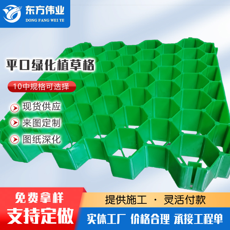 消防通道植草砖人行道停车场草坪格HDPE护坡塑料植草格