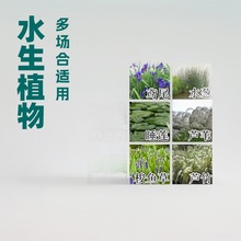 ˮ��ֲ�ﻨ�����˽��N���S���������������Sβ�����JȔǧ���˷N��