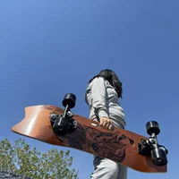 Louis tic экспортирует наземную доску для серфинга оригинальная ретро профессиональная система водяного моста от имени Bu Lu Chong импортный клен