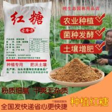 50���r�üt�ǉѸ��T���Nֲ�l�͌��ý��ع���@ֲ��N���~��ʼt��