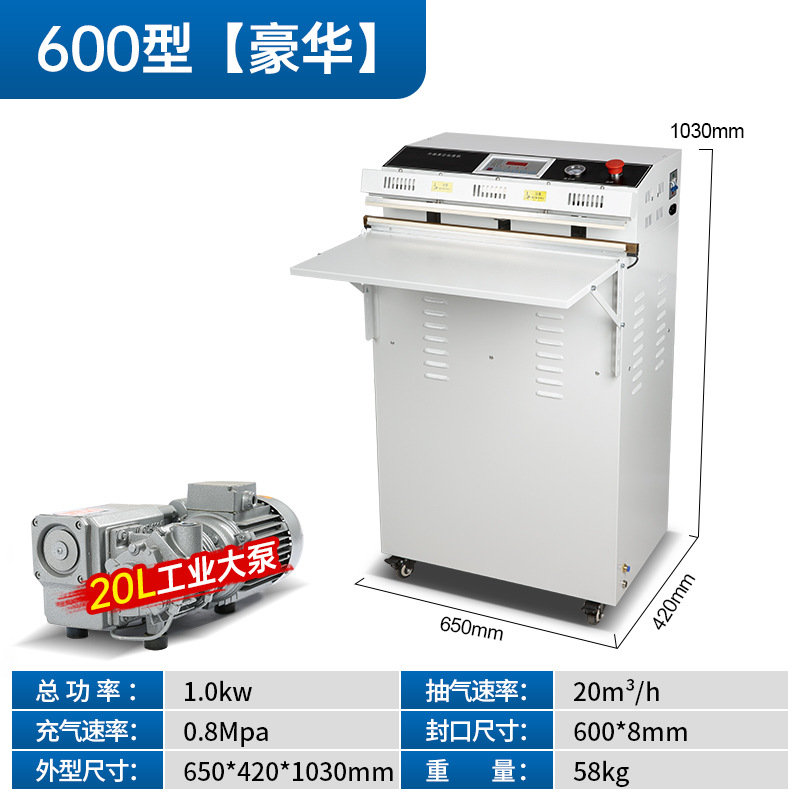 600 (painted version)