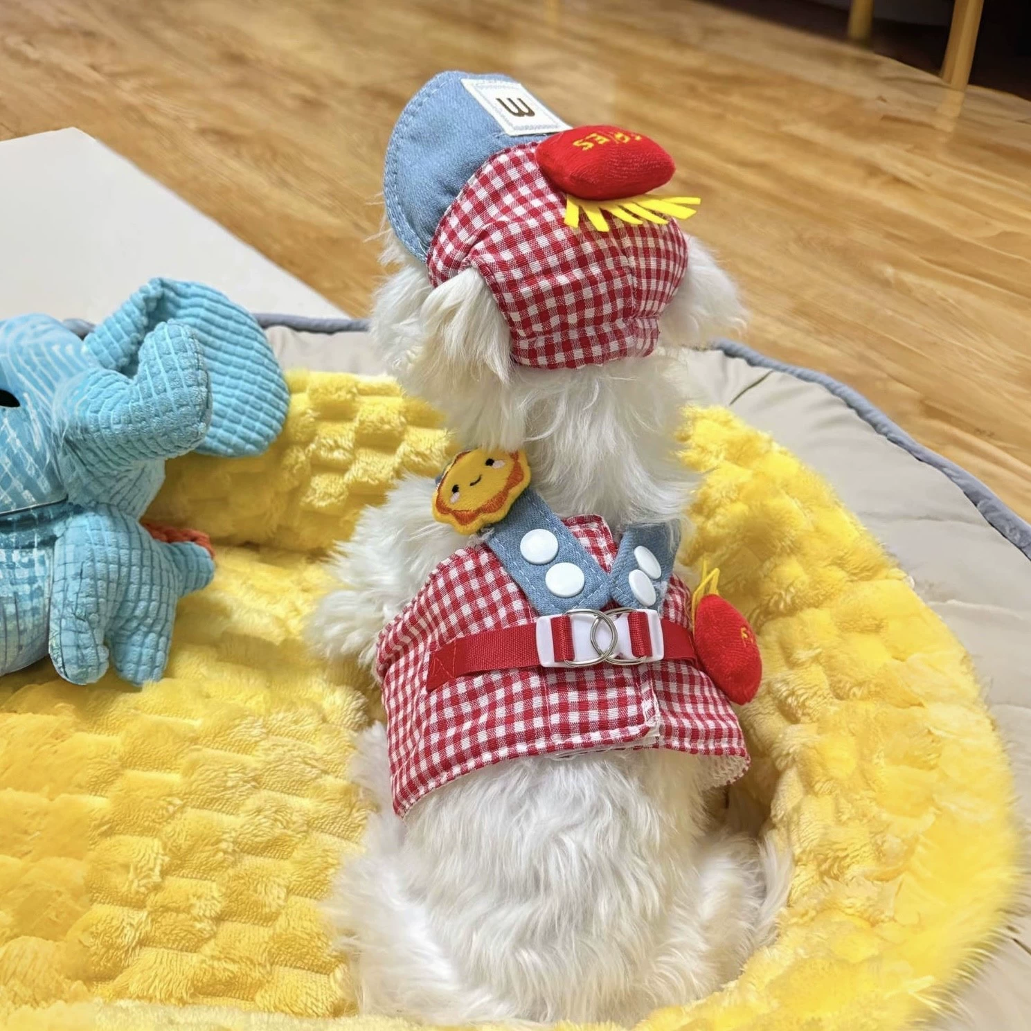 Летняя шляпа для собак, солнцезащитная шляпа с открытыми ушами, дышащая шлейка для щенков, набор поводков для маленьких собак и кошек.