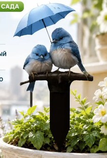 ��ֻ�{�B�ֳւう�������@��ز廨��ͥԺ�ݻ������}�辰�����辰