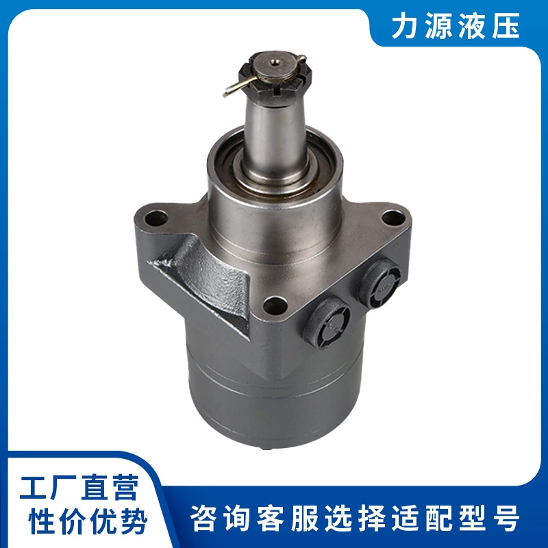 Низкоскоростной циклоидный гидравлический мотор с высоким крутящим моментом со скидкой производителя Масляный мотор BM4-245/310/395/490/800