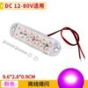 [两线爆闪款 双排12珠 粉光 12-80V]