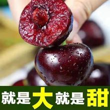 【3斤特大果】山东烟台大樱桃水果新鲜车厘子应季特大现摘1斤批发