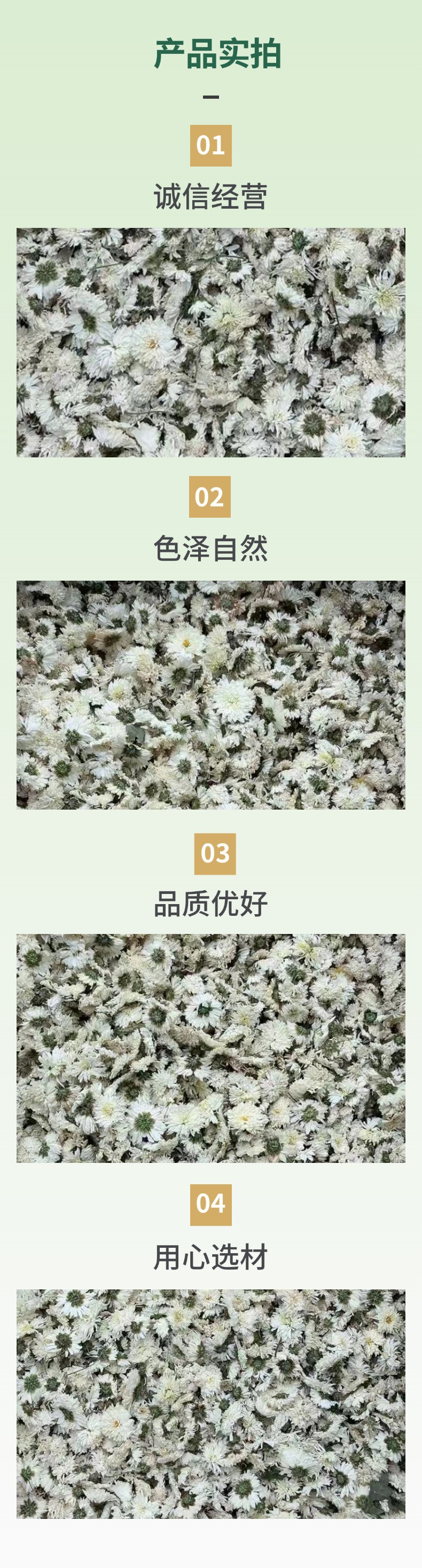 Dried July Chrysanthemum Flower Tea 500g Loose White Chrysanthemum for Herbal Infusion specifications