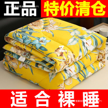 清仓正品100%长丝被子空调被春秋被冬被可水洗夏被单人双人棉被