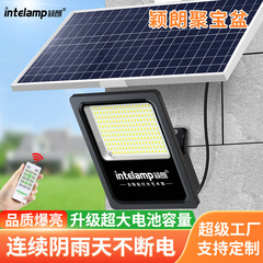 Yinglang Solar Outdoor Lighting Project Road Lighting Street Lamp New Model Rural Courtyard High Power Floodlight