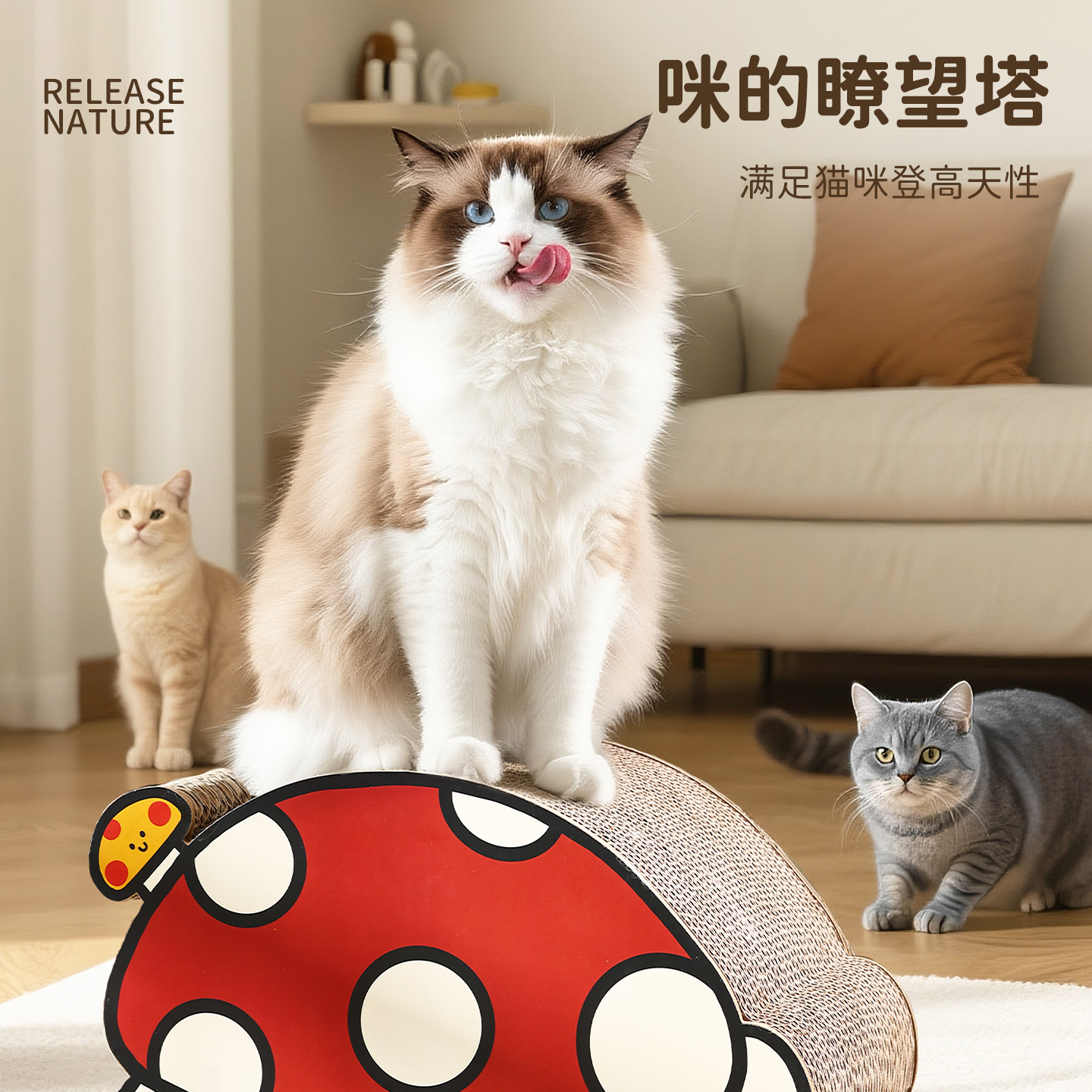 Placa de raspado para gatos de hongos resistente al desgaste y sin caspa.