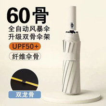 ���24��ȫ�Ԅ�12���p�����������Ů�ۯB̫ꖂ��������ӡlogo