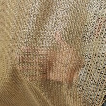 �½��Sɫ��ꖾW�S�ҹ������Sɫ��ꖾW����ľ�R���Sɫ��ꖾW���b�W