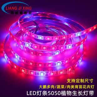 5050Led fleshy plant growth flower fruit vegetable light bar 60 lights 3:1 4 red 1 blue 5:1 plant fill light strip